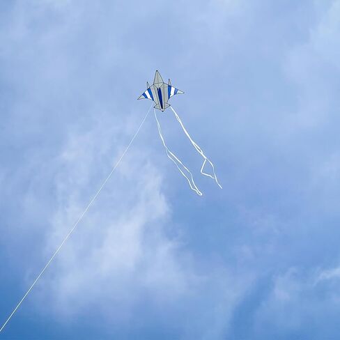 In the Breeze Jet Kite, Easy-Flying Plane Kite with Color-Coordinated Streamer Tails in Saudi Arabia