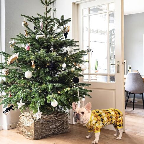 TONY HOBY Dog Sweater, Knitted Warm Dog Winter Shirt for New Year for Small Medium Dog (Blue, Girl, M) in Saudi Arabia