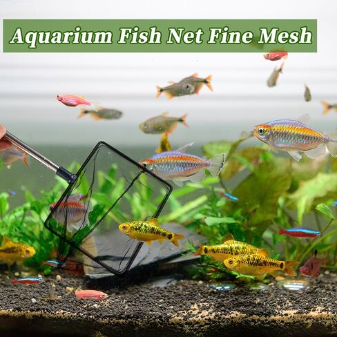 Fish Tank Net, Fine Mesh Aquarium Fish Net, Long Handle Fish Net, Stainless Steel Extendable Handle, Square Aquarium Cleaning Net for Aquarium Accessories in Kuwait