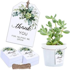 Whaline 100pcs شكرًا لك على مساعدتي في تنمية العلامات النضرة لصالح العلامات مع قنب الحبل تقدير المعلم هدية علامة خضراء دش مع تعليق الورق لتخرج لوازم حفلة عيد ميلاد التخرج