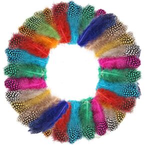 FeelfunFeather 60 pcs Colored Spotted Feathers 2-3inch Bulk Small Guinea Fowl Polka Dot Feather for DIY Crafts Clothing Hats Decoration
