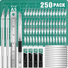 Diyself 250 pcs iscip chicke ، سكين حرفي ، سكين هواية ، سكين دقيق ، سكين دقيق للحرف اليدوية ، النمذجة ، سكرابوكينغ ، سكين دقيقان مع 235 شفرات دقيقة (#11#10#16#17)