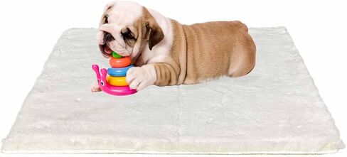 Dog Bed Mat Crate Pads for Dog Cages 30x21 Inch Washable Anti-Slip Dog Kennel Pad Soft Small Puppy Cage Cushion Liner, Beige in Kuwait