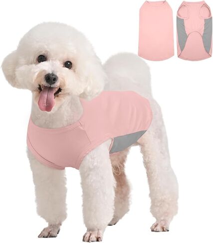 Kuoser Dog Cooling Shirt, Sun Protection Puppy T-Shirts, Quick Dry Dog Summer Clothes for Small Dogs Boy Girl Blue XS in Kuwait