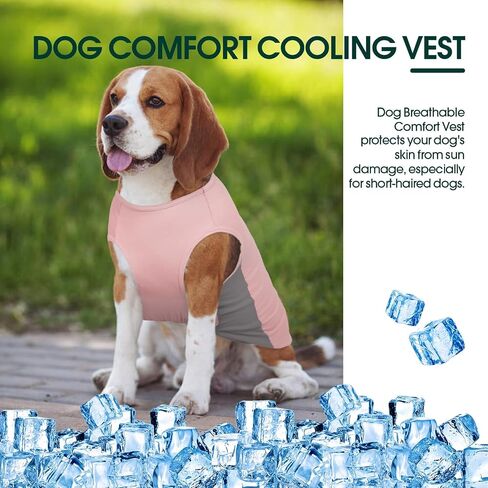 Kuoser Dog Cooling Shirt, Sun Protection Puppy T-Shirts, Quick Dry Dog Summer Clothes for Small Dogs Boy Girl Blue XS in Kuwait