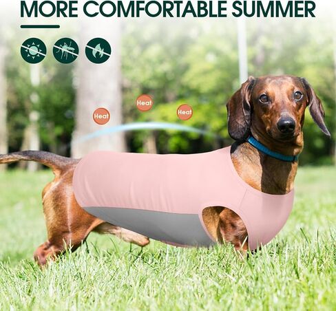 Kuoser Dog Cooling Shirt, Sun Protection Puppy T-Shirts, Quick Dry Dog Summer Clothes for Small Dogs Boy Girl Blue XS in Kuwait