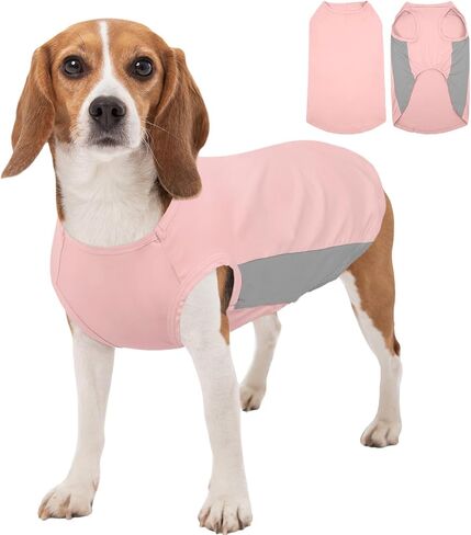 Kuoser Dog Cooling Shirt, Sun Protection Puppy T-Shirts, Quick Dry Dog Summer Clothes for Small Dogs Boy Girl Blue XS in Kuwait