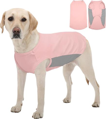 Kuoser Dog Cooling Shirt, Sun Protection Puppy T-Shirts, Quick Dry Dog Summer Clothes for Small Dogs Boy Girl Blue XS in Kuwait
