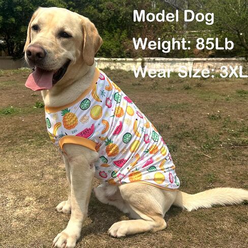 Dog Sleeveless T Shirt Yellow Fruits Prints Vest Shirt Soft Stretchy Summer Clothes for Extra Large Dog Boys Girls Shirt 3X-Large,Fruits in Kuwait