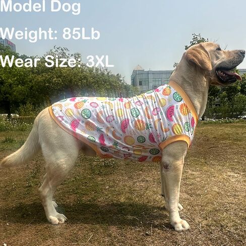 Dog Sleeveless T Shirt Yellow Fruits Prints Vest Shirt Soft Stretchy Summer Clothes for Extra Large Dog Boys Girls Shirt 3X-Large,Fruits in Kuwait