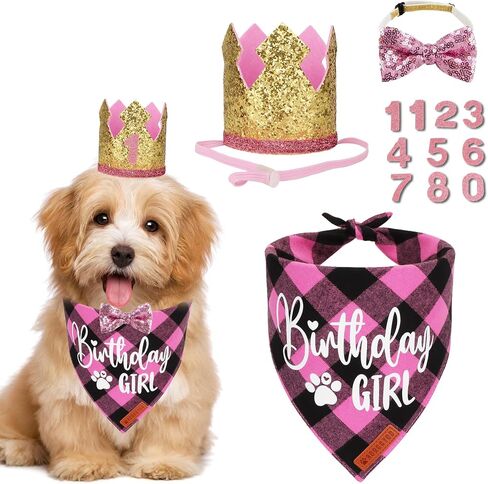 ADOGGYGO Dog Birthday Party Supplies, Blue Plaid Birthday Boy Dog Bandana, Golden Pet Party Hat with Numbers, Bowtie for Medium Large Pets (Large) in Kuwait