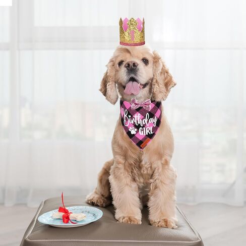 ADOGGYGO Dog Birthday Party Supplies, Blue Plaid Birthday Boy Dog Bandana, Golden Pet Party Hat with Numbers, Bowtie for Medium Large Pets (Large) in Kuwait