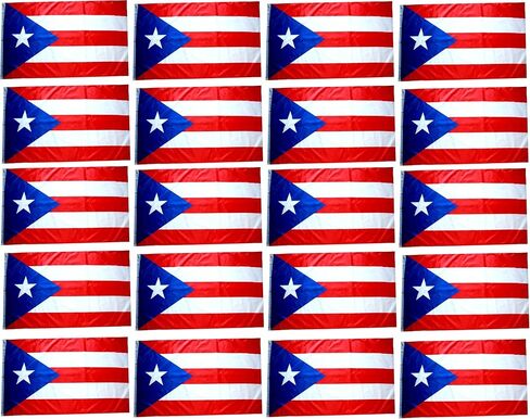 3x5 White Flags 20 Pack Wholesale Bulk Lot - Twenty Blank Flags of Solid White Color for DIY Projects and Custom Designs in Kuwait