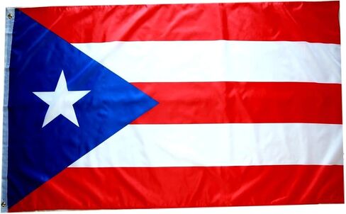 3x5 White Flags 20 Pack Wholesale Bulk Lot - Twenty Blank Flags of Solid White Color for DIY Projects and Custom Designs in Kuwait