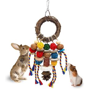 Bunny Chew يعامل لعبة الأسنان ، 2pcs قفص الأرنب معلقة ألعاب المضغ وخاتم الروطان مع وجبة خفيفة ، والمواد الطبيعية شينشيلا يعالج ألعاب لخنازير غينيا جيربيلس الفئران الهامستر الطحن الطحن