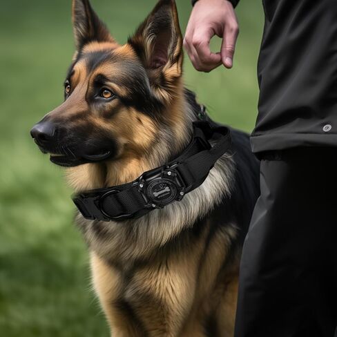Dog Collar with Airtag Holder, Airtag Dog Collar IP68 Waterproof with Control Handle and Metal Buckle, Military Tactical Air Tag Dog Collar Holder for Medium Large Dogs(Green, L) in Kuwait