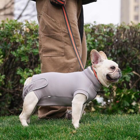 Dog Recovery Suit for Neutering & Spaying, E-Collar Alternative, Male & Female Dogs, Post-Surgery Wound Protection, Breathable Surgical Bodysuit, Easy to Wear, Extra 2 Wound Pads (Light Gray, S) in Saudi Arabia