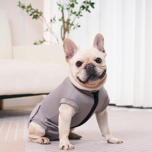 Dog Recovery Suit for Neutering & Spaying, E-Collar Alternative, Male & Female Dogs, Post-Surgery Wound Protection, Breathable Surgical Bodysuit, Easy to Wear, Extra 2 Wound Pads (Light Gray, S) in Saudi Arabia