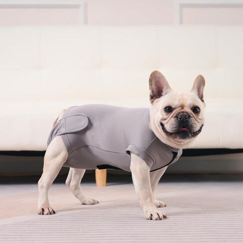Dog Recovery Suit for Neutering & Spaying, E-Collar Alternative, Male & Female Dogs, Post-Surgery Wound Protection, Breathable Surgical Bodysuit, Easy to Wear, Extra 2 Wound Pads (Light Gray, S) in Saudi Arabia