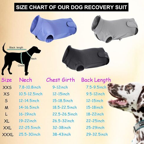 Dog Recovery Suit for Neutering & Spaying, E-Collar Alternative, Male & Female Dogs, Post-Surgery Wound Protection, Breathable Surgical Bodysuit, Easy to Wear, Extra 2 Wound Pads (Light Gray, S) in Saudi Arabia