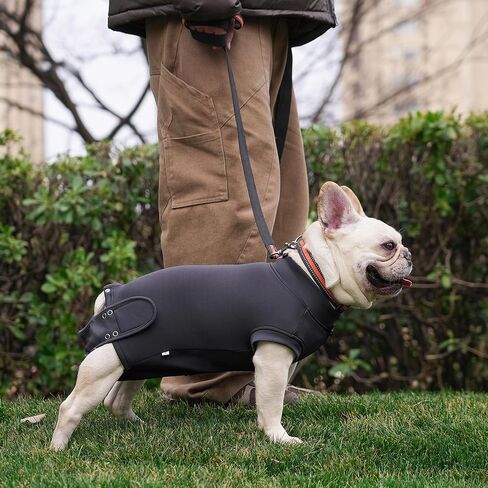 Dog Recovery Suit for Neutering & Spaying, E-Collar Alternative, Male & Female Dogs, Post-Surgery Wound Protection, Breathable Surgical Bodysuit, Easy to Wear, Extra 2 Wound Pads (Light Gray, S) in Kuwait