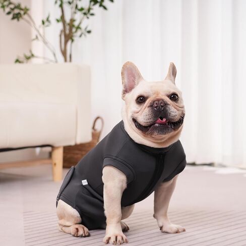 Dog Recovery Suit for Neutering & Spaying, E-Collar Alternative, Male & Female Dogs, Post-Surgery Wound Protection, Breathable Surgical Bodysuit, Easy to Wear, Extra 2 Wound Pads (Light Gray, S) in Kuwait