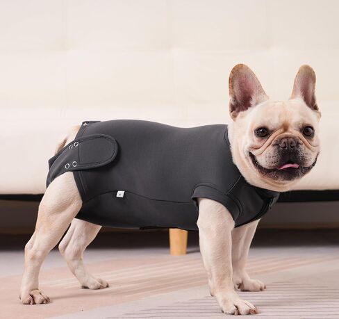Dog Recovery Suit for Neutering & Spaying, E-Collar Alternative, Male & Female Dogs, Post-Surgery Wound Protection, Breathable Surgical Bodysuit, Easy to Wear, Extra 2 Wound Pads (Light Gray, S) in Kuwait