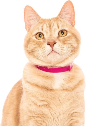 Cat Collar 2 Pack - Soft, Comfortable, and Lightweight Safety Breakaway Collar with Name Tag Ring for Outdoor Cats and Sensitive Skin Kittens by Nuvuq (6 ⅞" to 10 ¼", Red) in Saudi Arabia