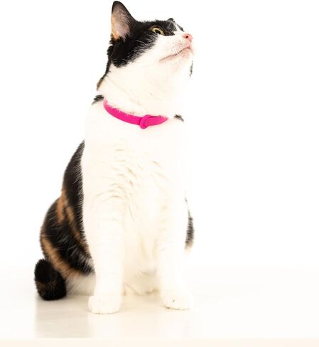 Cat Collar 2 Pack - Soft, Comfortable, and Lightweight Safety Breakaway Collar with Name Tag Ring for Outdoor Cats and Sensitive Skin Kittens by Nuvuq (6 ⅞" to 10 ¼", Red) in Saudi Arabia