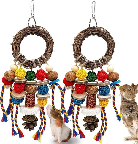 Bunny Chew يعامل لعبة الأسنان ، 2pcs قفص الأرنب معلقة ألعاب المضغ وخاتم الروطان مع وجبة خفيفة ، والمواد الطبيعية شينشيلا يعالج ألعاب لخنازير غينيا جيربيلس الفئران الهامستر الطحن الطحن in Kuwait