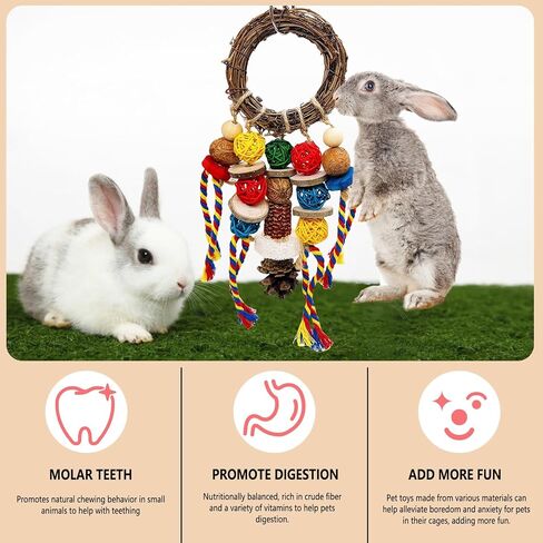 Bunny Chew يعامل لعبة الأسنان ، 2pcs قفص الأرنب معلقة ألعاب المضغ وخاتم الروطان مع وجبة خفيفة ، والمواد الطبيعية شينشيلا يعالج ألعاب لخنازير غينيا جيربيلس الفئران الهامستر الطحن الطحن in Kuwait