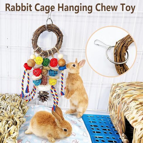 Bunny Chew يعامل لعبة الأسنان ، 2pcs قفص الأرنب معلقة ألعاب المضغ وخاتم الروطان مع وجبة خفيفة ، والمواد الطبيعية شينشيلا يعالج ألعاب لخنازير غينيا جيربيلس الفئران الهامستر الطحن الطحن in Kuwait