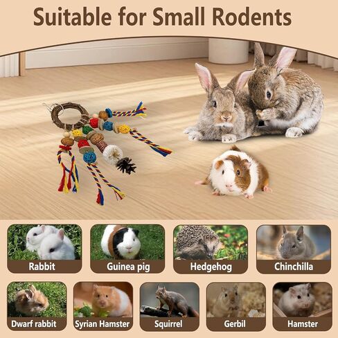 Bunny Chew يعامل لعبة الأسنان ، 2pcs قفص الأرنب معلقة ألعاب المضغ وخاتم الروطان مع وجبة خفيفة ، والمواد الطبيعية شينشيلا يعالج ألعاب لخنازير غينيا جيربيلس الفئران الهامستر الطحن الطحن in Kuwait