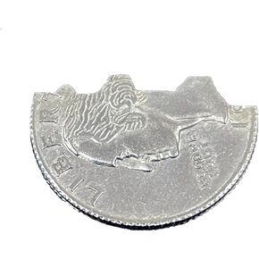 Magic Bites Coin Bite Out Dollar Folding Bite Coin Quarter مع شريط مطاط بديل - حيل سحرية عن قرب عملة معدنية
