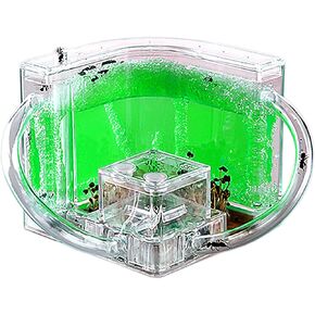 Ant Farm for Kids Safety and Environment Gel ANT Colony Terrarium ، ant habitat cience kit (بدون Ant) ...
