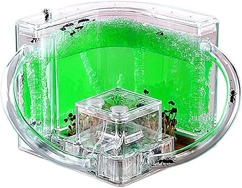 Ant Farm for Kids Safety and Environment Gel Ant Colony Ecosystem Terrarium, Ant Habitat Science Learning Kit(with No Ant)… in Saudi Arabia