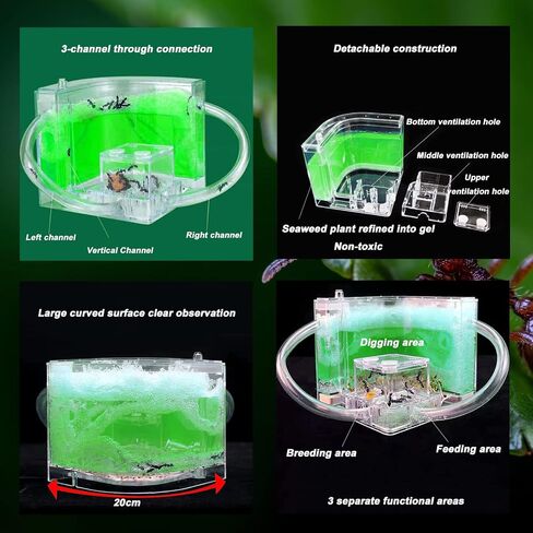 Ant Farm for Kids Safety and Environment Gel Ant Colony Ecosystem Terrarium, Ant Habitat Science Learning Kit(with No Ant)… in Saudi Arabia