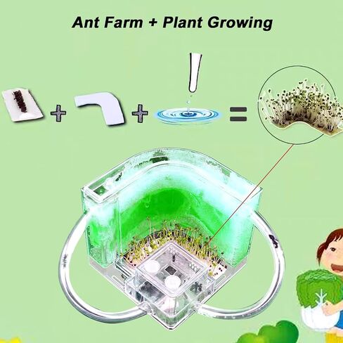 Ant Farm for Kids Safety and Environment Gel Ant Colony Ecosystem Terrarium, Ant Habitat Science Learning Kit(with No Ant)… in Saudi Arabia