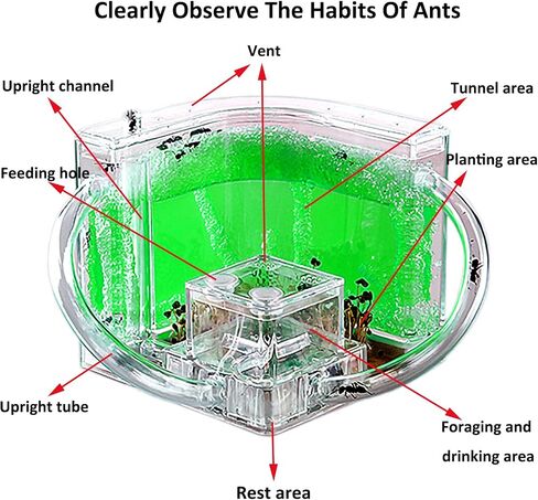 Ant Farm for Kids Safety and Environment Gel Ant Colony Ecosystem Terrarium, Ant Habitat Science Learning Kit(with No Ant)… in Saudi Arabia