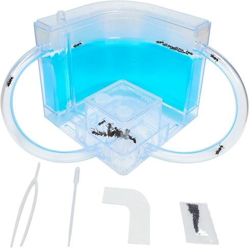Ant Farm for Kids Safety and Environment Gel Ant Colony Ecosystem Terrarium, Ant Habitat Science Learning Kit(with No Ant)… in Saudi Arabia