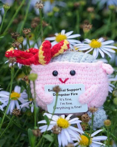2PCS Emotional Support Dumpster Fire Desk Accessories, Positive Crochet Handmade Plush with It's fine Cards, Cute Work Desk Decor Gifts for Women Men (Pink and Blue) in Saudi Arabia