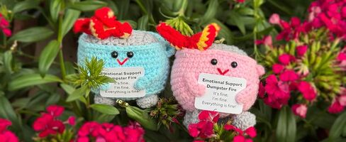2PCS Emotional Support Dumpster Fire Desk Accessories, Positive Crochet Handmade Plush with It's fine Cards, Cute Work Desk Decor Gifts for Women Men (Pink and Blue) in Saudi Arabia
