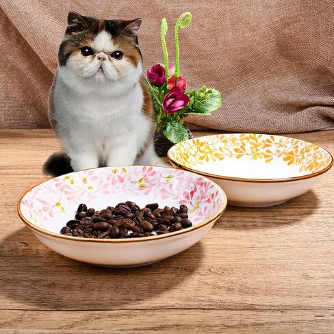 2-Pack Ceramic Pet Bowls, 5.62 Inch Non-Slip Dog & Cat Food Dishes, Microwave Safe Pet Bowls with Anti-Tip Design for Small to Medium Pets in Saudi Arabia