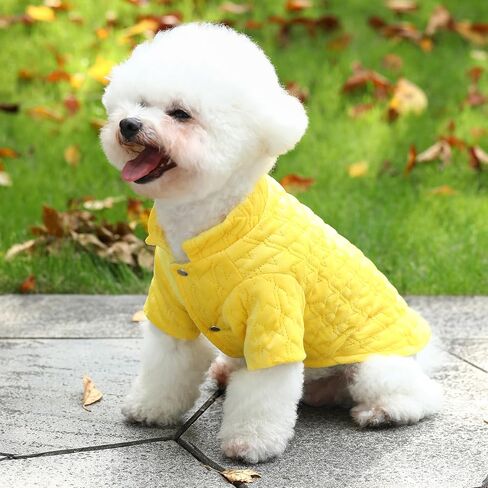 Warm Dog Coat, Winter Coat Pet Cold Weather Coats Cozy Snow Vest for Small Medium Dogs (Blue, XX-Large) in Kuwait