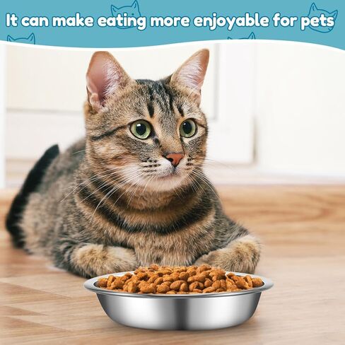 12 PCS Stainless Steel Cat Bowls,5.5 In Shallow Wide Cat Food Dishes,Whisker Fatigue Relief Cat Food Bowls,Replacement Basic Cat Plates for Elevated Stand,Metal Cat Bowls for Small Dogs&Cats in Saudi Arabia