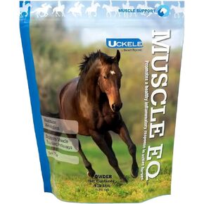Uckele بواسطة Smartequine Muscle Eq ™ Powder | ملحق العضلات مع L-Carnitine للخيول | الحمض الأميني بيتا ألانين لوظيفة العضلات المثلى ويدعم الانتعاش | 4.3 رطل حقيبة
