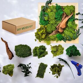 طقم فنون الجدار الخضرة DIY DIY Moss ، 10 "× 10" ، هدية فريدة من نوعها للحرفيين ، مشروع حرفي طبيعي وصديق للبيئة ، الخشب ، الطحلب المحفوظ ، واللكنات الطبيعية ، ديكور المنزل المصنوع يدويًا