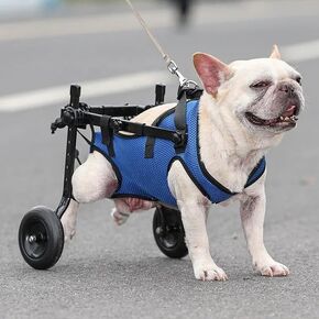 Small Dog Wheelchair for Back Legs, Adjustable Dog Leg Brace and Hip Support, Size S