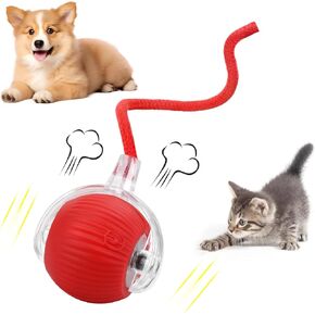 لعبة Jakpak Interactive Cat للقطط الداخلية ، كرات لعبة كرة القدم للكرة الصغيرة تتحرك بسرعة 360 ° Rolling Cat Plaything للكلاب القطط الداخلية (Red)