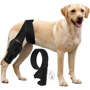 L Dog Knee Brace لـ ACL Hind Leg الممزقة مع المثبتات الجانبية ، والشفاء الأفضل لالتهاب المفاصل ، وأقواس الساق الكلاب للساق الخلفية ، تحافظ على الدفء والمفصل مستقر